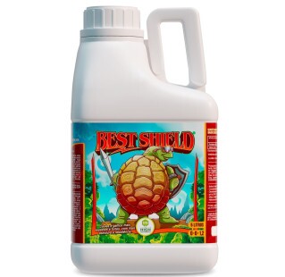 Best Shield