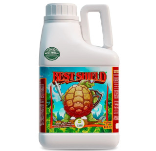 Best Shield
