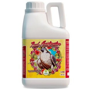 Bud Accelerator