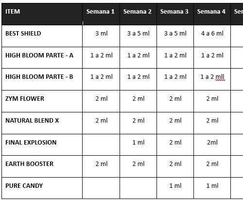Sistema PROFESSIONAL - Detalhes do Programa e como Usar
