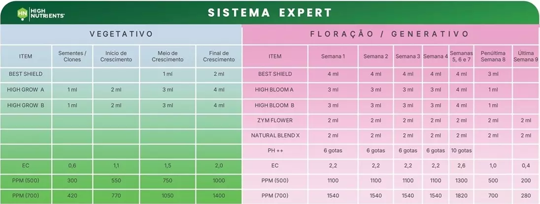Expert