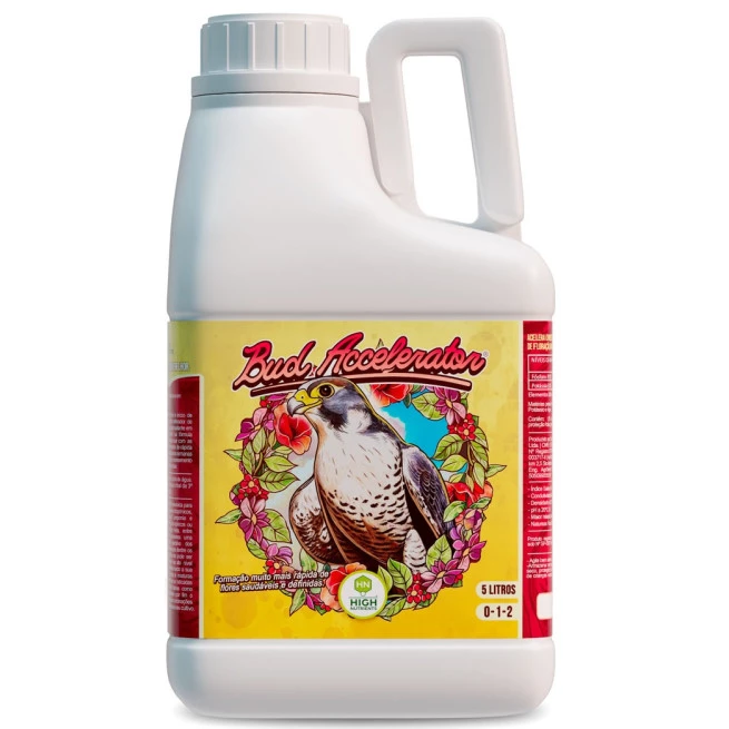 Bud Accelerator