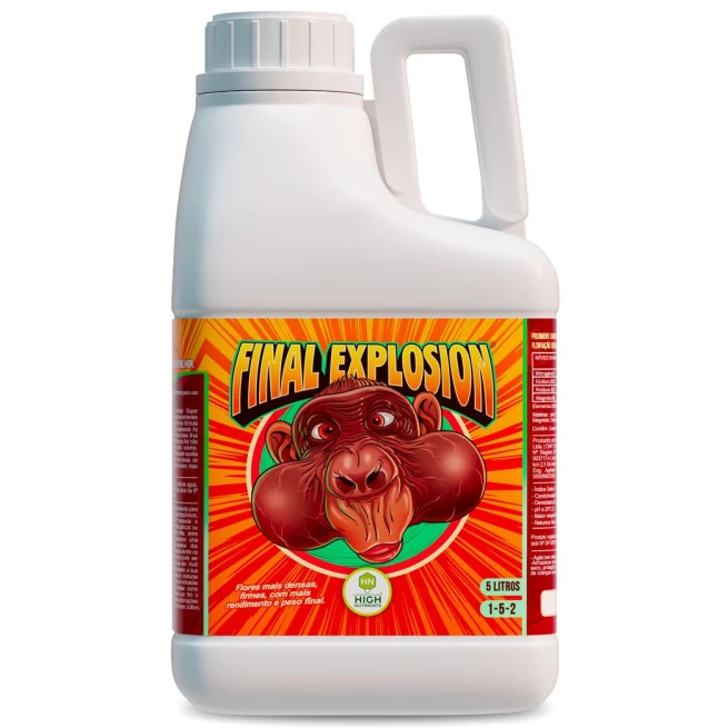 Final Explosion