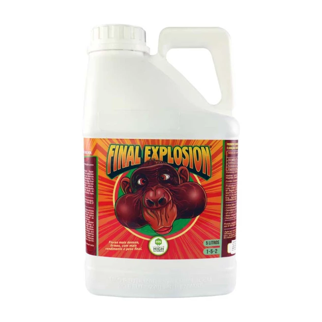 Final Explosion