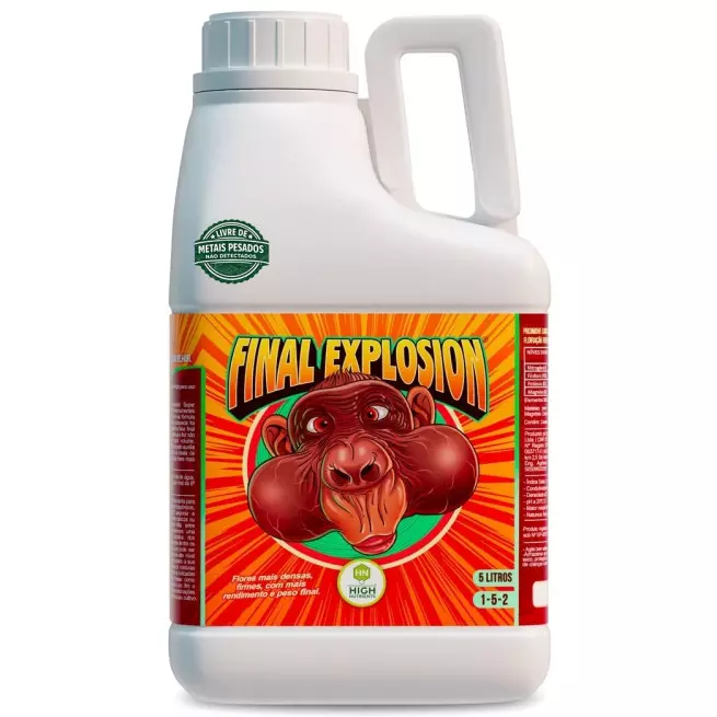 Final Explosion