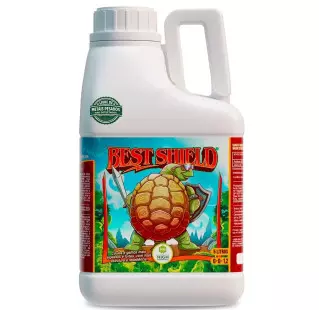 Best Shield