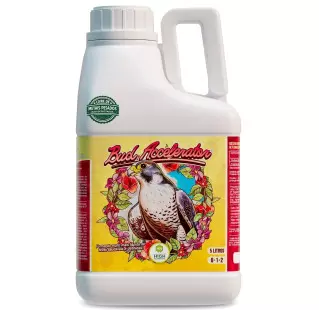 Bud Accelerator