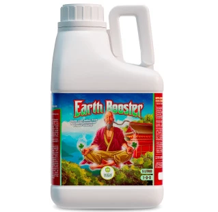Earth Booster