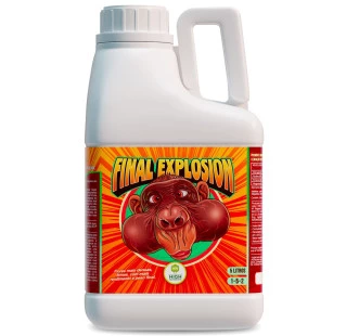 Final Explosion