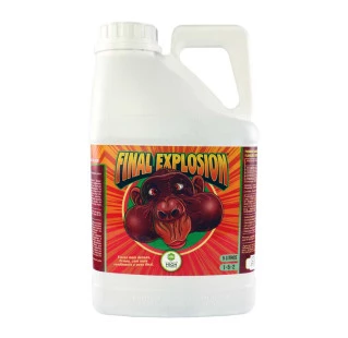 Final Explosion