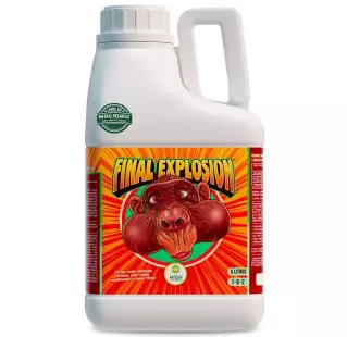 Final Explosion