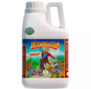 Magical+