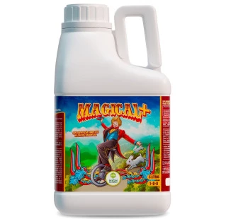 Magical+