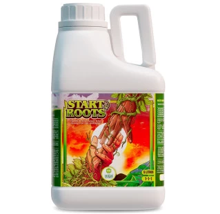 Start Roots