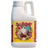 Bud Accelerator