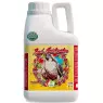 Bud Accelerator