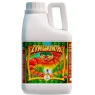 Zym Growth